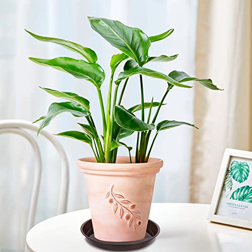 VUWEZ 6 Pack of Plant Saucer 8 Inch, 8 inch Plant Saucer Round, Plastic Flower Plant Trays for Pots, Plant Saucers for Indoors 8"", Plant Pot Saucers, Planter Tray for Planter 6-8"" (8"", Brown) - Image 4